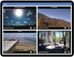 Publish cameras online, live stream on your website